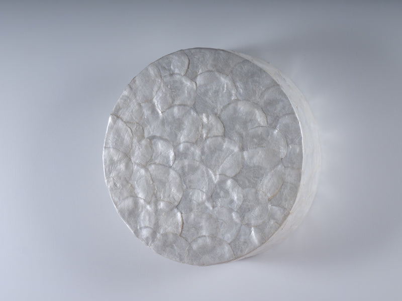 Exquisite WandLampen auch als DeckenLampen mit Capiz-Muschelmuster – In 6 Größen erhältlich